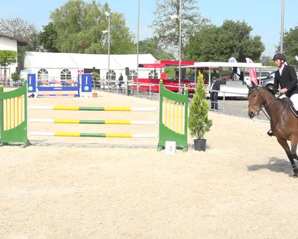 Reitturnier Achern 2019