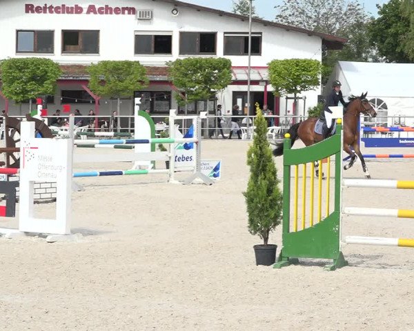 Reitturnier Achern 2019