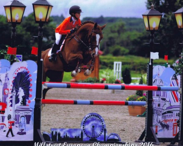 broodmare Adidetje (KWPN (Royal Dutch Sporthorse), 2005, from Dutch Capitol)