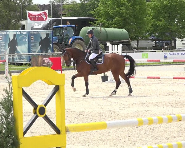 Reitturnier Achern 2019