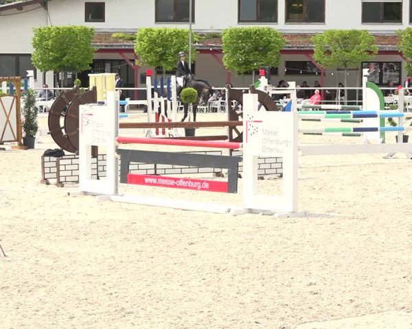 Reitturnier Achern 2019