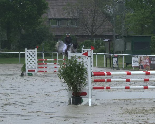 Reitturnier Ostenfelde-Vornholz 2019