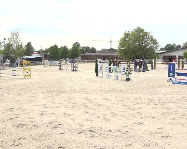 Reitturnier Achern 2019
