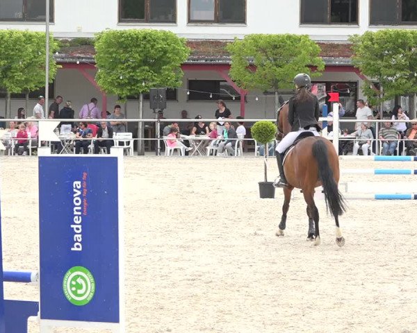 Reitturnier Achern 2019