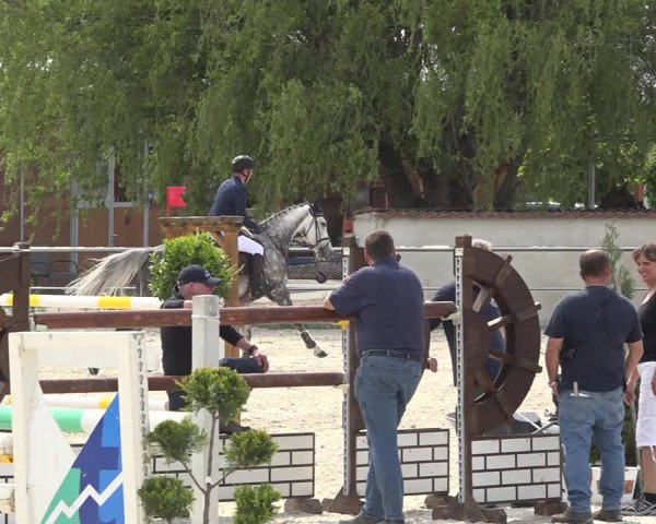 Reitturnier Achern 2019