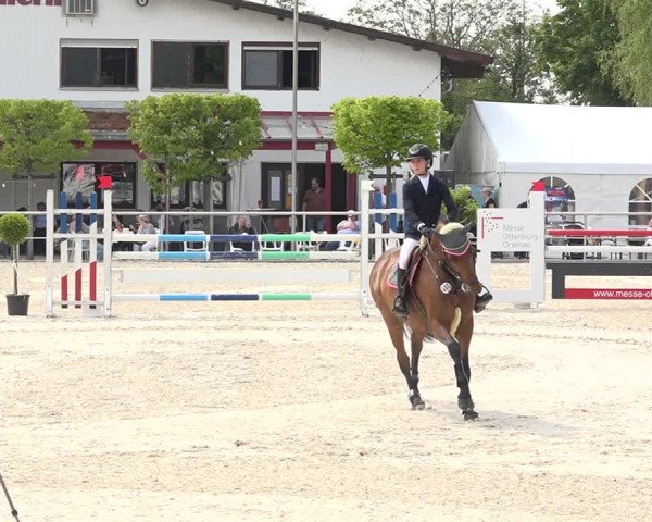 Reitturnier Achern 2019