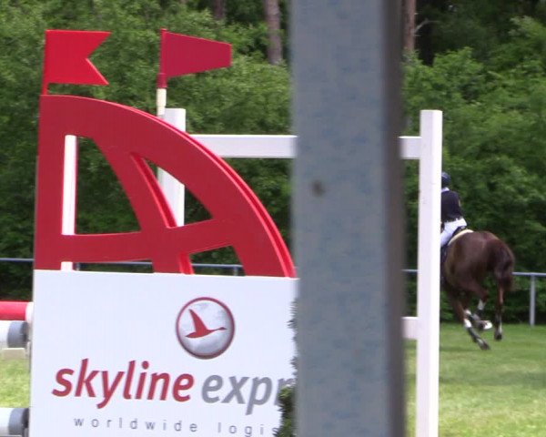Reitturnier Stukenbrock 2019