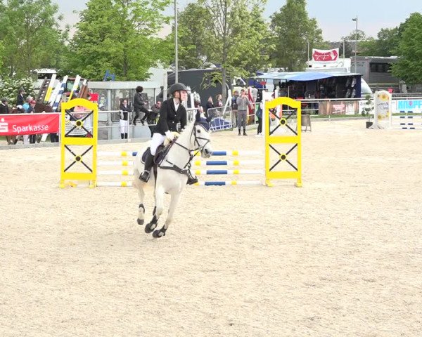 Reitturnier Achern 2019