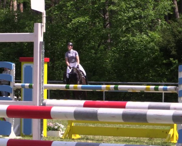 Reitturnier Stukenbrock 2019