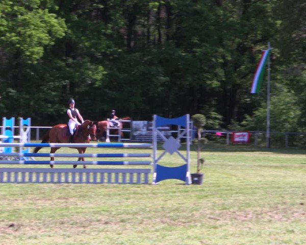 Reitturnier Stukenbrock 2019