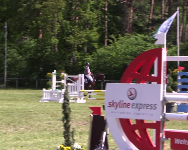 Reitturnier Stukenbrock 2019