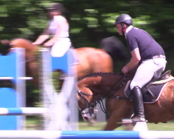 Reitturnier Stukenbrock 2019