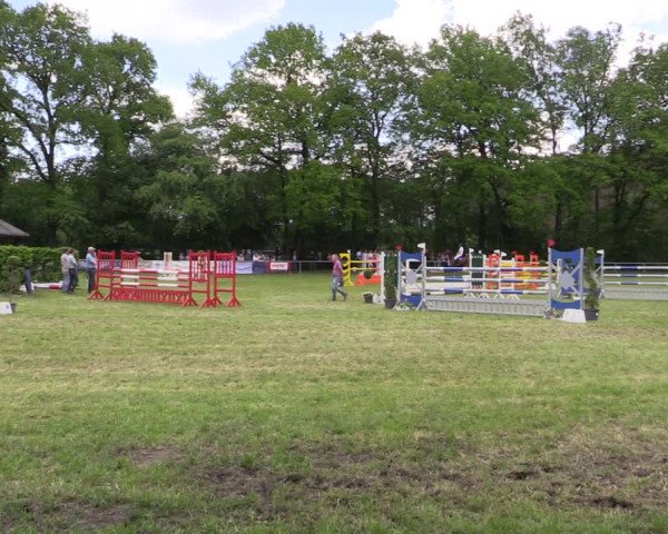 Reitturnier Stukenbrock 2019