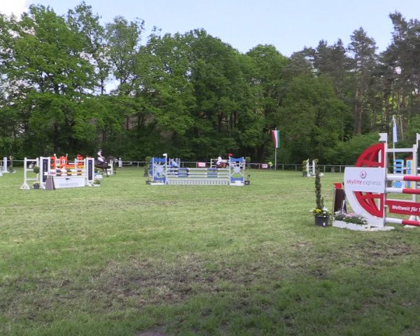 Reitturnier Stukenbrock 2019