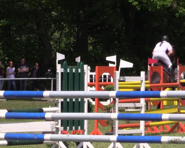 Reitturnier Stukenbrock 2019