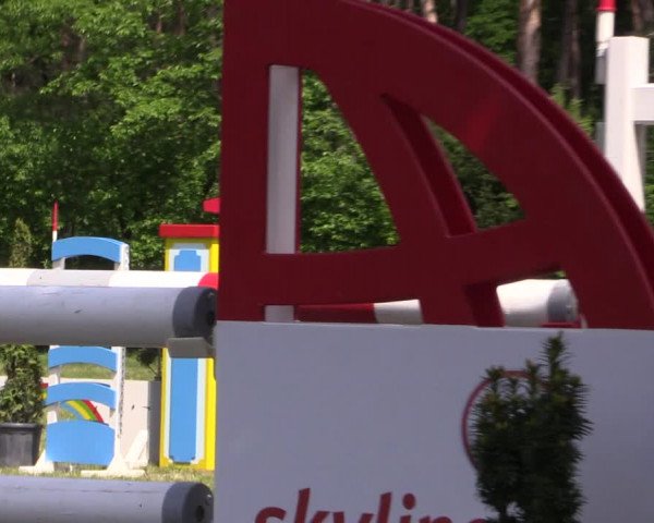Reitturnier Stukenbrock 2019