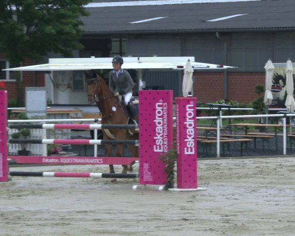 Reitturnier Ostenfelde-Vornholz 2019