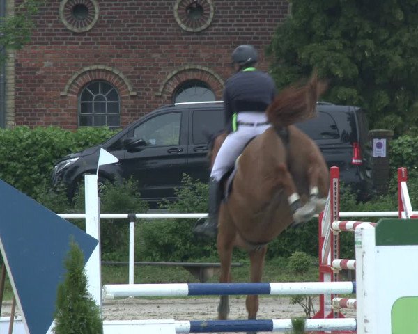 Reitturnier Ostenfelde-Vornholz 2019