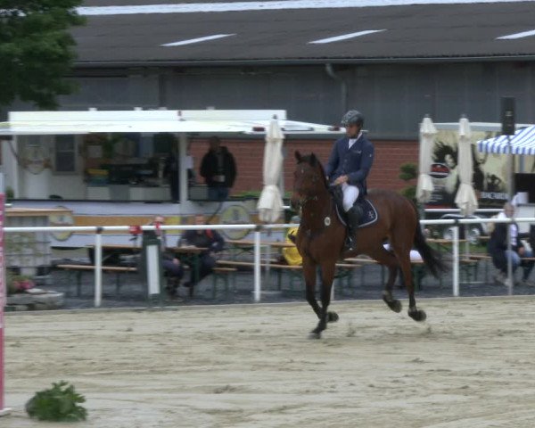 Reitturnier Ostenfelde-Vornholz 2019