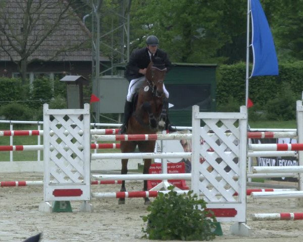 Reitturnier Ostenfelde-Vornholz 2019