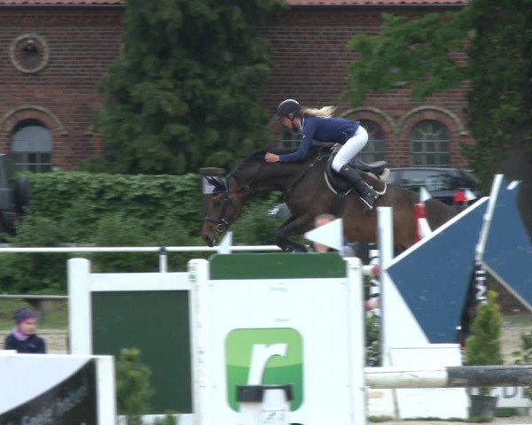 Reitturnier Ostenfelde-Vornholz 2019