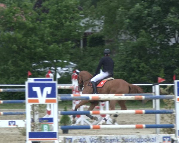 Reitturnier Ostenfelde-Vornholz 2019