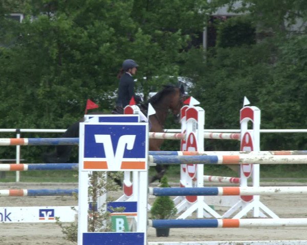 Reitturnier Ostenfelde-Vornholz 2019