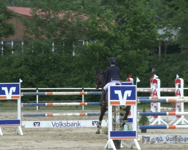 Reitturnier Ostenfelde-Vornholz 2019