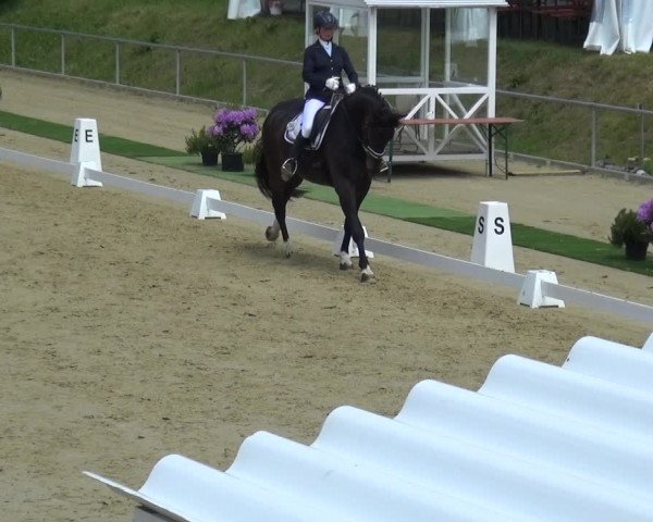Reitturnier Ladenburg 2019