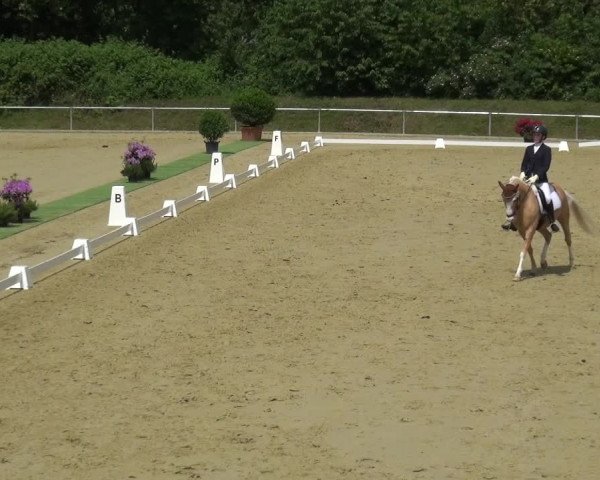 Reitturnier Ladenburg 2019