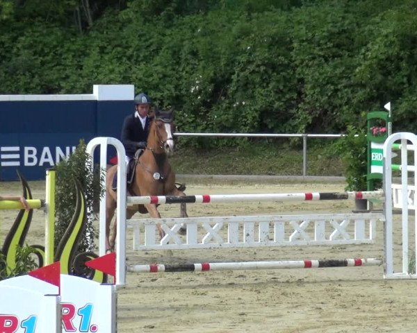 Reitturnier Ladenburg 2019