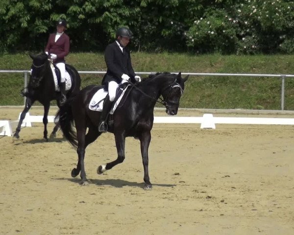 Reitturnier Ladenburg 2019