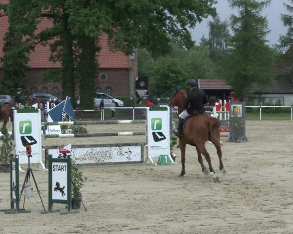Reitturnier Ostenfelde-Vornholz 2019