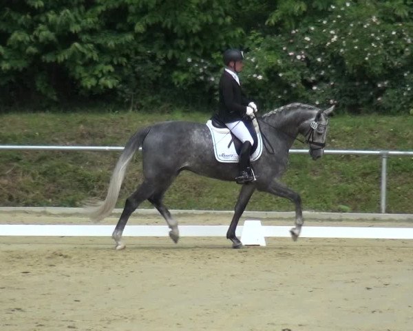 Reitturnier Ladenburg 2019