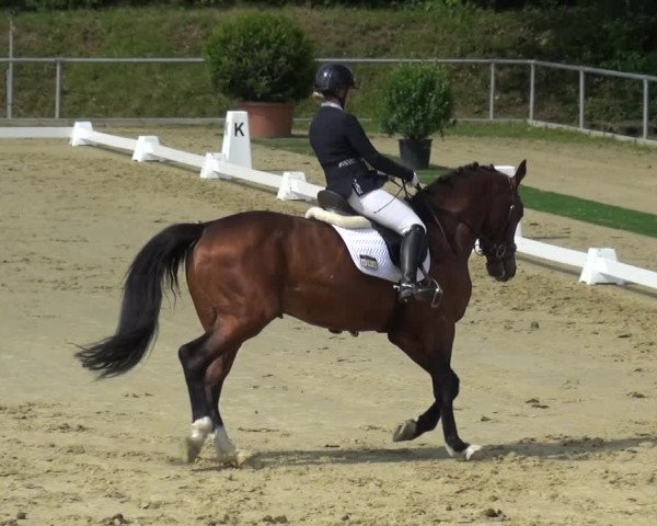 Reitturnier Ladenburg 2019