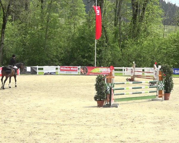Reitturnier Isny-Rohrdorf 2019