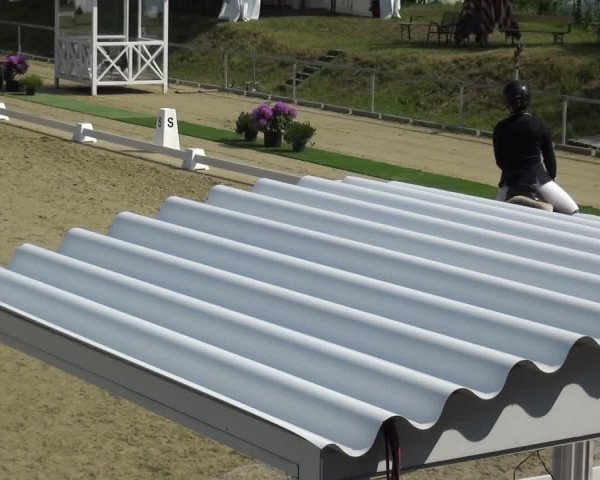 Reitturnier Ladenburg 2019