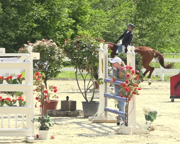 Reitturnier Isny-Rohrdorf 2019