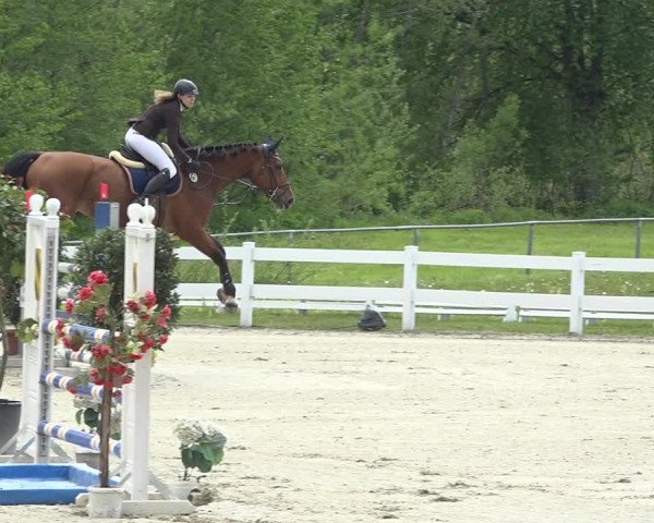 Reitturnier Isny-Rohrdorf 2019