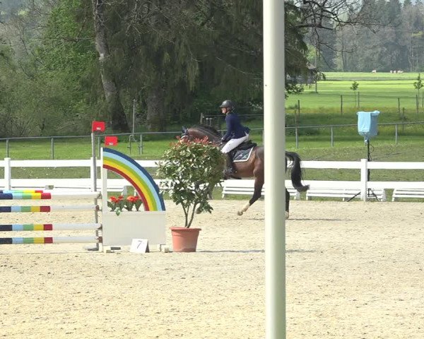 Reitturnier Isny-Rohrdorf 2019