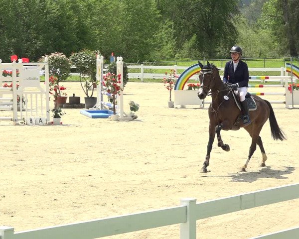 Reitturnier Isny-Rohrdorf 2019