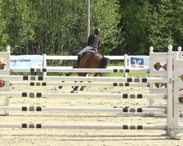 Reitturnier Isny-Rohrdorf 2019