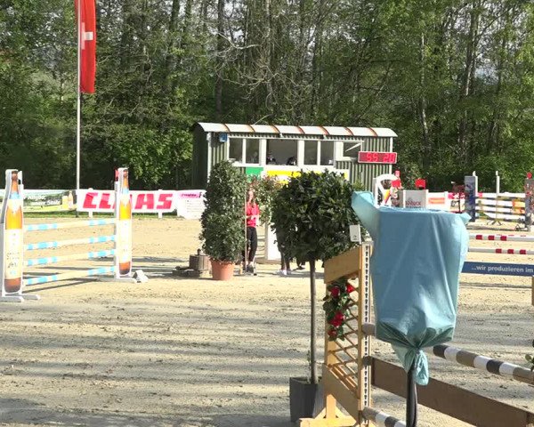 Reitturnier Isny-Rohrdorf 2019