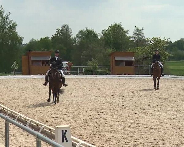 Reitturnier Ansbach/Mfr. 2019