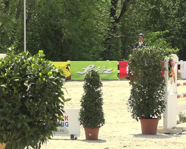 Reitturnier Isny-Rohrdorf 2019
