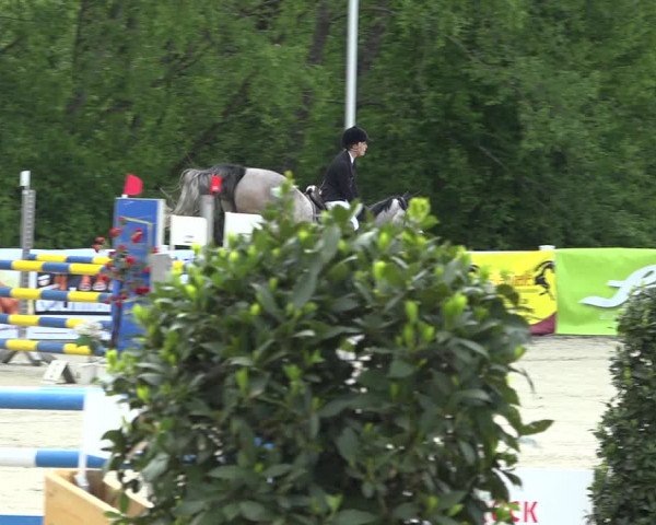 Reitturnier Isny-Rohrdorf 2019