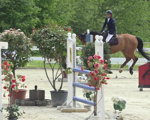 Reitturnier Isny-Rohrdorf 2019
