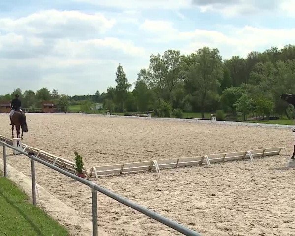 Reitturnier Ansbach/Mfr. 2019