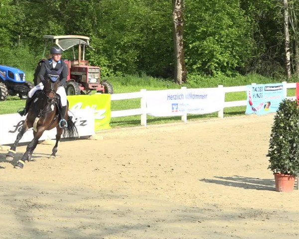 Reitturnier Isny-Rohrdorf 2019