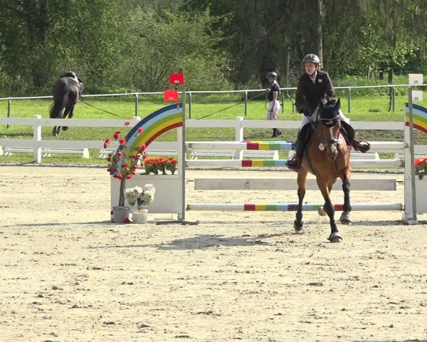 Reitturnier Isny-Rohrdorf 2019